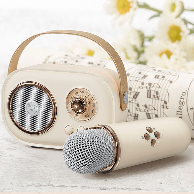 Mini Karaoke Machine Bärbar Bluetooth-högtalare