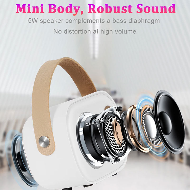 Mini Karaoke Machine Bärbar Bluetooth-högtalare