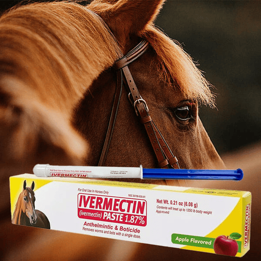 🔥Sista dagen 49% rabatt - ivermectin hästpasta 1,87% 6.08 g rör