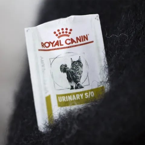 🎄✨Familjärer av ullfilt – originella handgjorda följeslagar